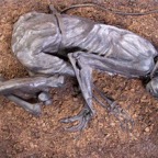 13 Tollund Man small