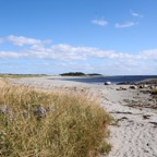 Tor Bay East Beach 1.jpg